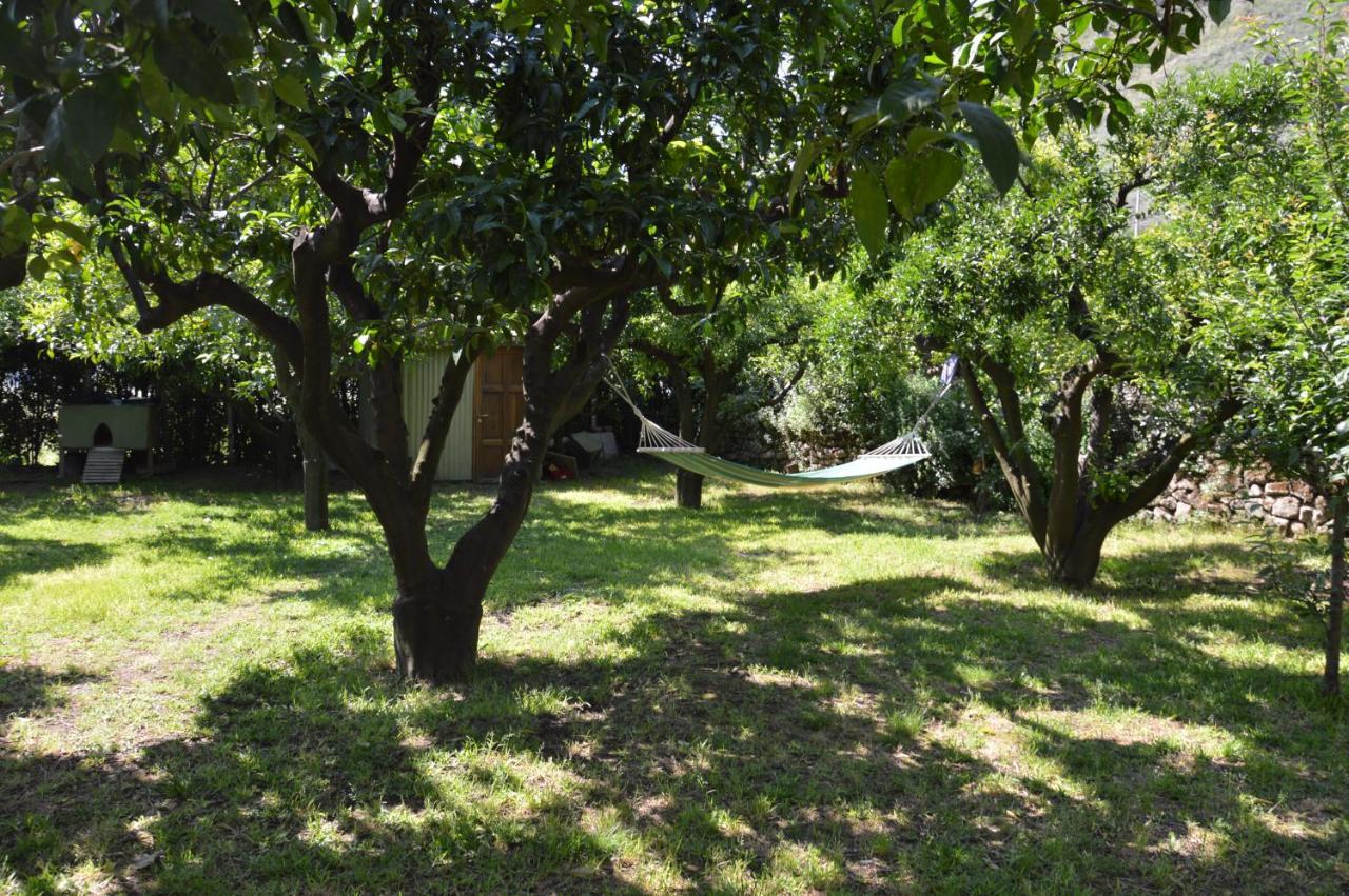 לינה וארוחת בוקר פוזולי La Casa Di Barry מראה חיצוני תמונה