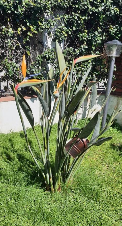 לינה וארוחת בוקר פוזולי La Casa Di Barry מראה חיצוני תמונה